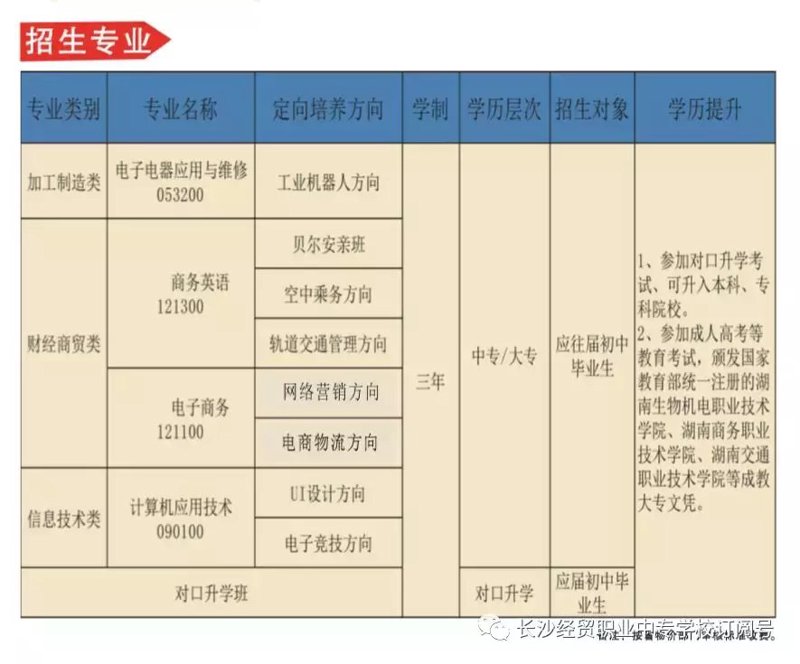 中专大专招生